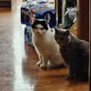 Meet your Posher, Kathy